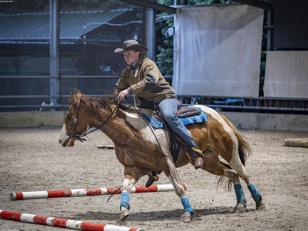 គ្រប់អំពើប្រណាំង និងអ្វីដែលអ្នកត្រូវដឹង