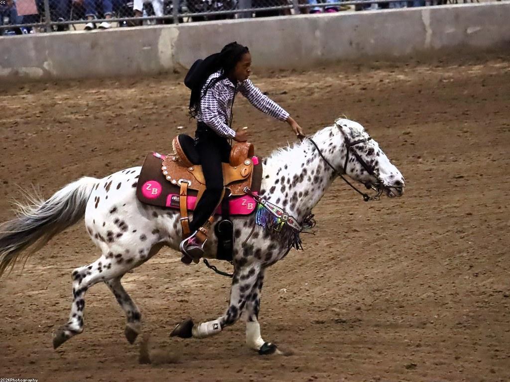 គ cultuur ប្រៀបធៀបរវាងគ្រប់អំពើប្រណាំងនិងសង្គម
